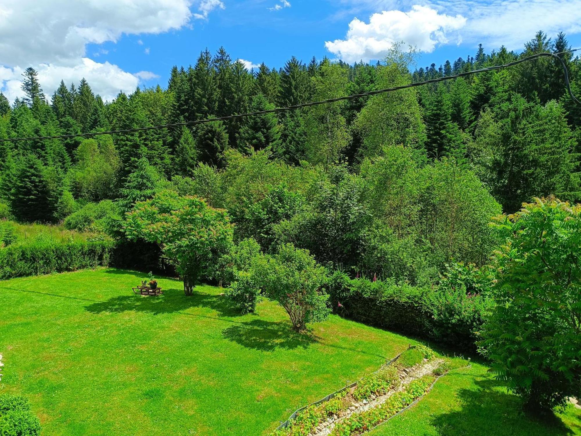 L'Eden De Floridylle Bed and Breakfast Xonrupt-Longemer Εξωτερικό φωτογραφία